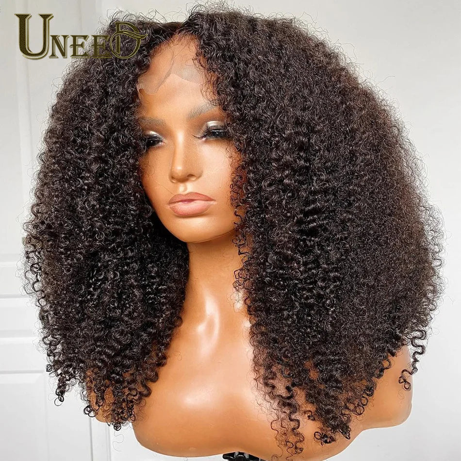 "Mongolian Kinky Curly Wig – 13x4 Lace Front, 180 Density Human Hair Wig for Women"